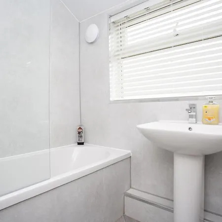 Vacant Nests The Sandringham Location Redcar